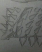IMG0164A.jpg