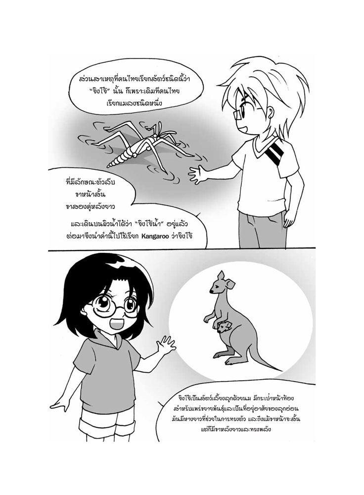 ทำไมถึงเรียกว่าจิงโจ้-3.jpg