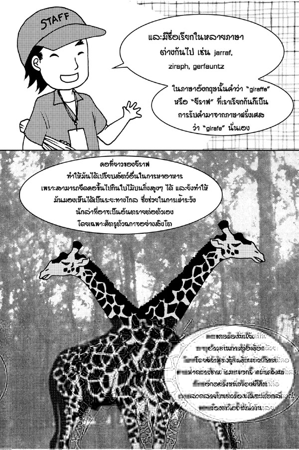 ทำไมถึงเรียกว่า-giraffe_Page_3.jpg