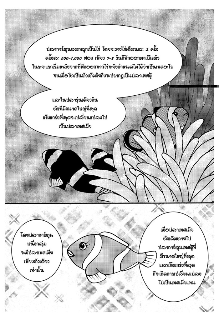 Peach-V8-ทำไมถึงเรียกว่า_Page_4.jpg