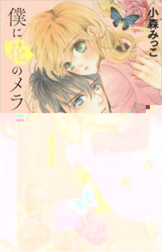 Boku ni hana no melancholy by Mikko Komori (Shueisha) คนวาด I love you baby     อยากให้แปลมากๆๆเลยคะ