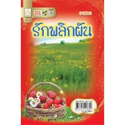 รักพลิกผัน