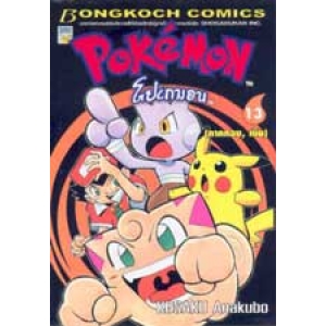 โปเกมอน Pokemon 13