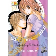 มัดหัวใจ นายเพอร์เฟกต์ Perfect boy Fell in love (เล่มเดียวจบ)