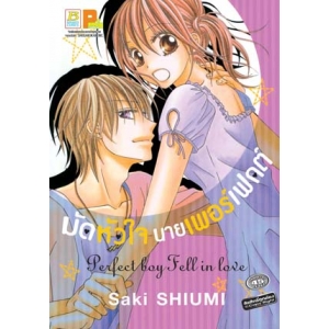 มัดหัวใจ นายเพอร์เฟกต์ Perfect boy Fell in love (เล่มเดียวจบ)