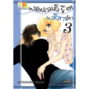 พรหมลิขิตพลิกรัก 3