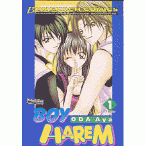 BOY HAREM 1