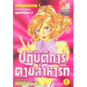 ปฏิบัติการตามล่าหารัก 1