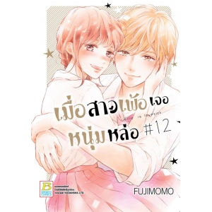 เมื่อสาวเพ้อเจอหนุ่มหล่อ 12 (เล่มจบ)