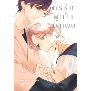 ศรรักผูกใจแรกพบ (เล่มเดียวจบ)