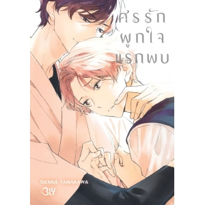 ศรรักผูกใจแรกพบ (เล่มเดียวจบ)