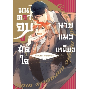 มนตราจูบมัดใจนายแมวเหมียว (เล่มเดียวจบ)