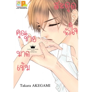 สะดุดหัวใจคุณชายมาดเข้ม (เล่มเดียวจบ)