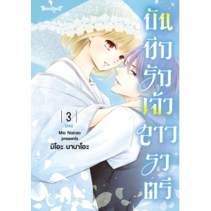 บันทึกรักเจ้าสาวราตรี 3