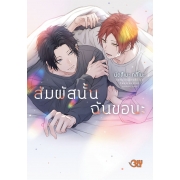 สัมผัสนั้นฉันขอนะ (เล่มเดียวจบ)