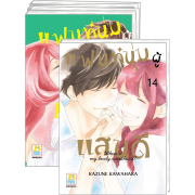 FS40_PACK SET! แฟนหนุ่มผู้แสนดี 1-14 (จบ)