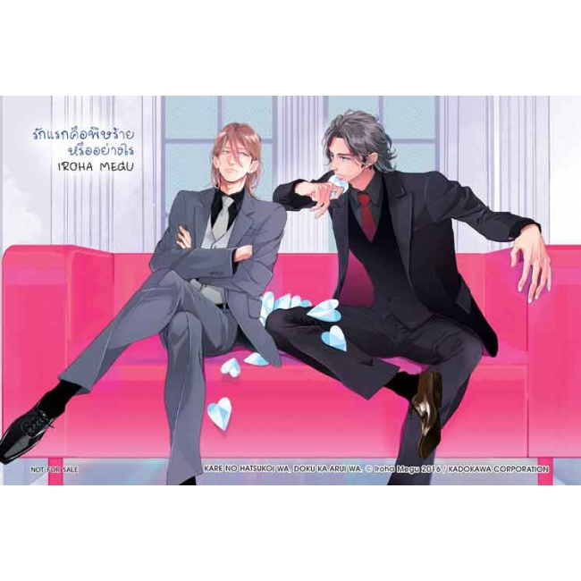 รักแรกคือพิษร้ายหรืออย่างไร (เล่มเดียวจบ)