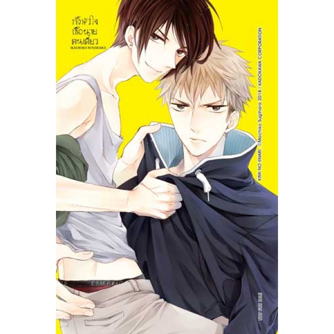ทั้งหัวใจเชื่อนายคนเดียว (เล่มเดียวจบ)