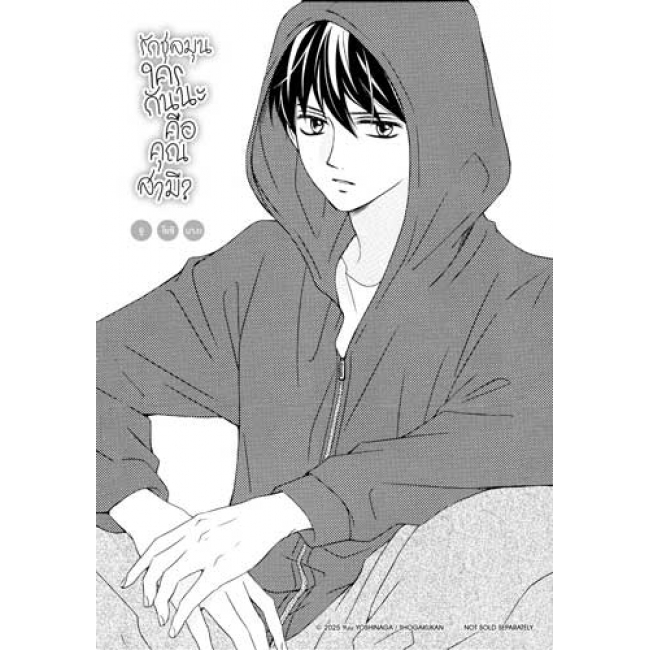 รักชุลมุน ใครกันนะคือคุณสามี? 3