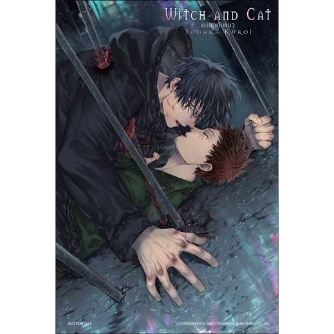 WITCH AND CAT แม่มดกับแมว (เล่มเดียวจบ)