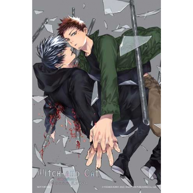 WITCH AND CAT แม่มดกับแมว (เล่มเดียวจบ)